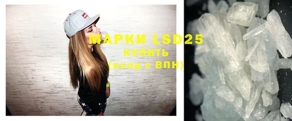 прущие грибы Осташков