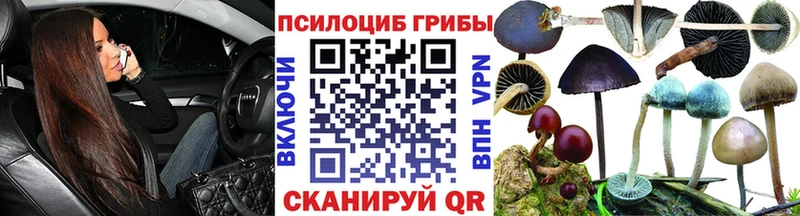 Псилоцибиновые грибы прущие грибы  Купить где  Северск 